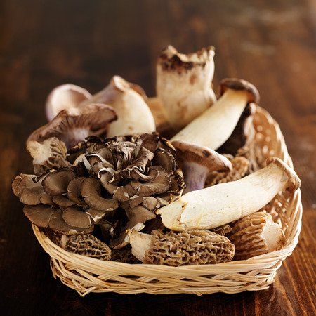 37925764 - basket of assorted gourmet mushrooms